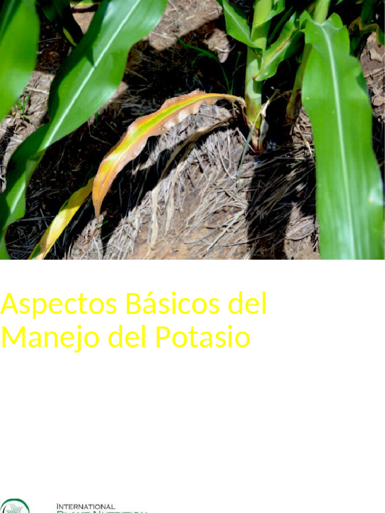 Manejo Efectivo del Potasio en Cultivos | PDF | Fertilizante | Arcilla