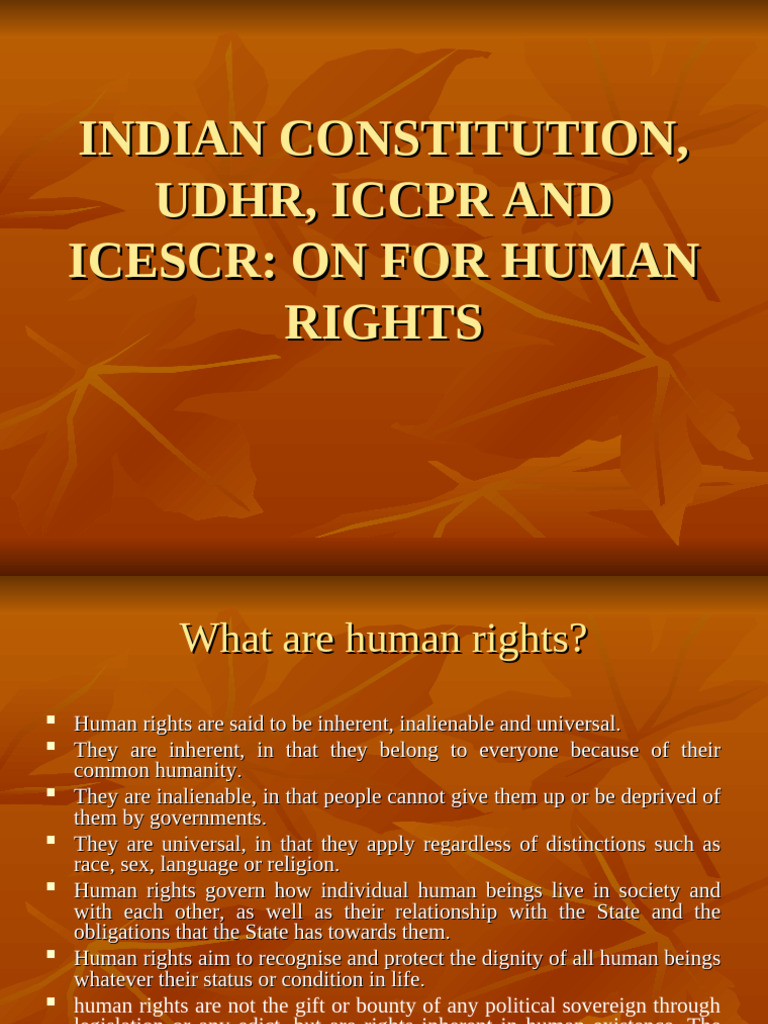 Understanding Human Rights Concepts | PDF | Human Rights | Ratification