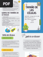 Formas y Tamaños de las Células | PDF | Biología Celular) | Micrometro