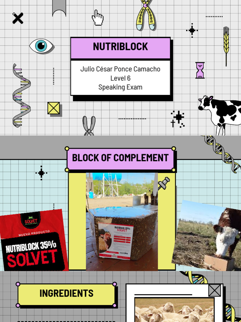 Nutri BLOCK | PDF