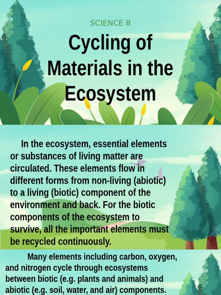 Biogeochemical Cycles Pdf Nitrate Water Cycle