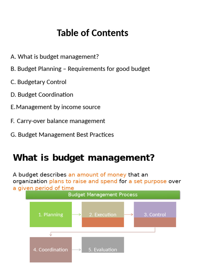 Effective Budget Management Strategies | PDF | Budget | Expense