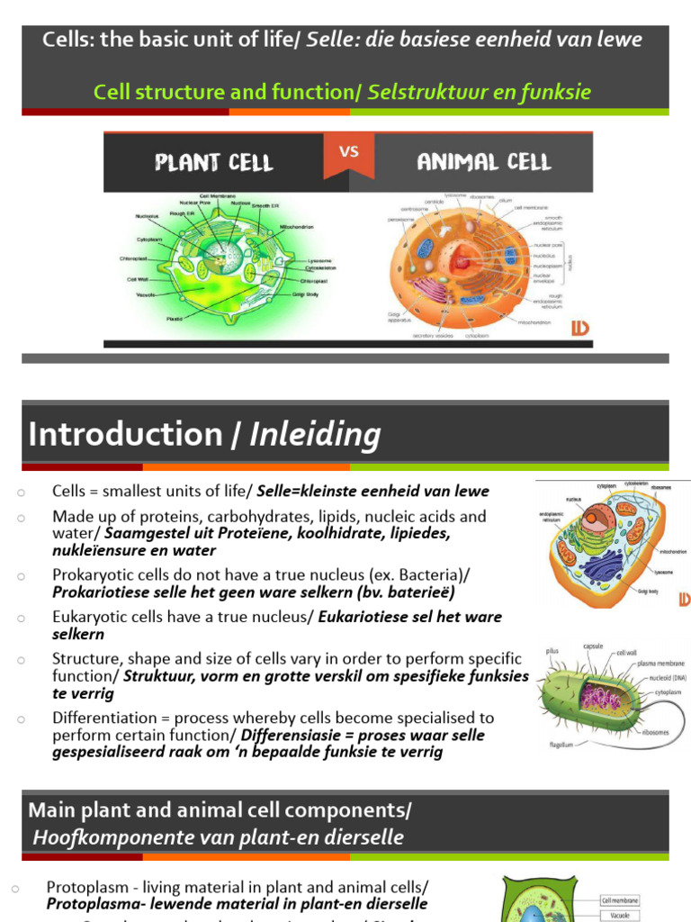 Cell Structure and Function | PDF | Endoplasmic Reticulum | Vacuole