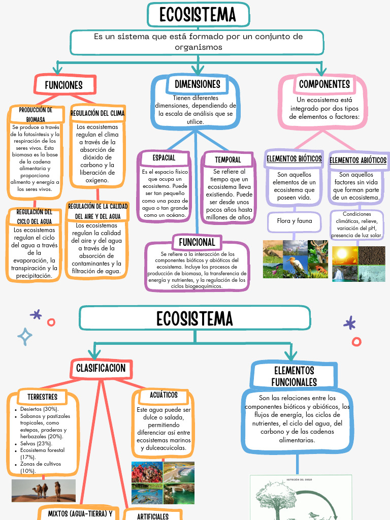 Funciones y Clasificación de Ecosistemas | PDF | Ecosistema | Agua