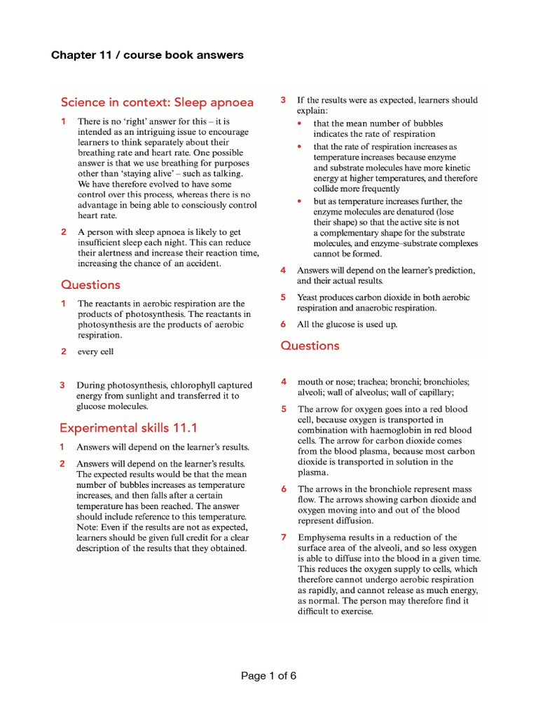 Chapter 11 Coursebook Answer | PDF