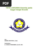 Download Tata Laksana Anemia Pada Gagal Ginjal Kronis by ginong pratitdya SN86880879 doc pdf