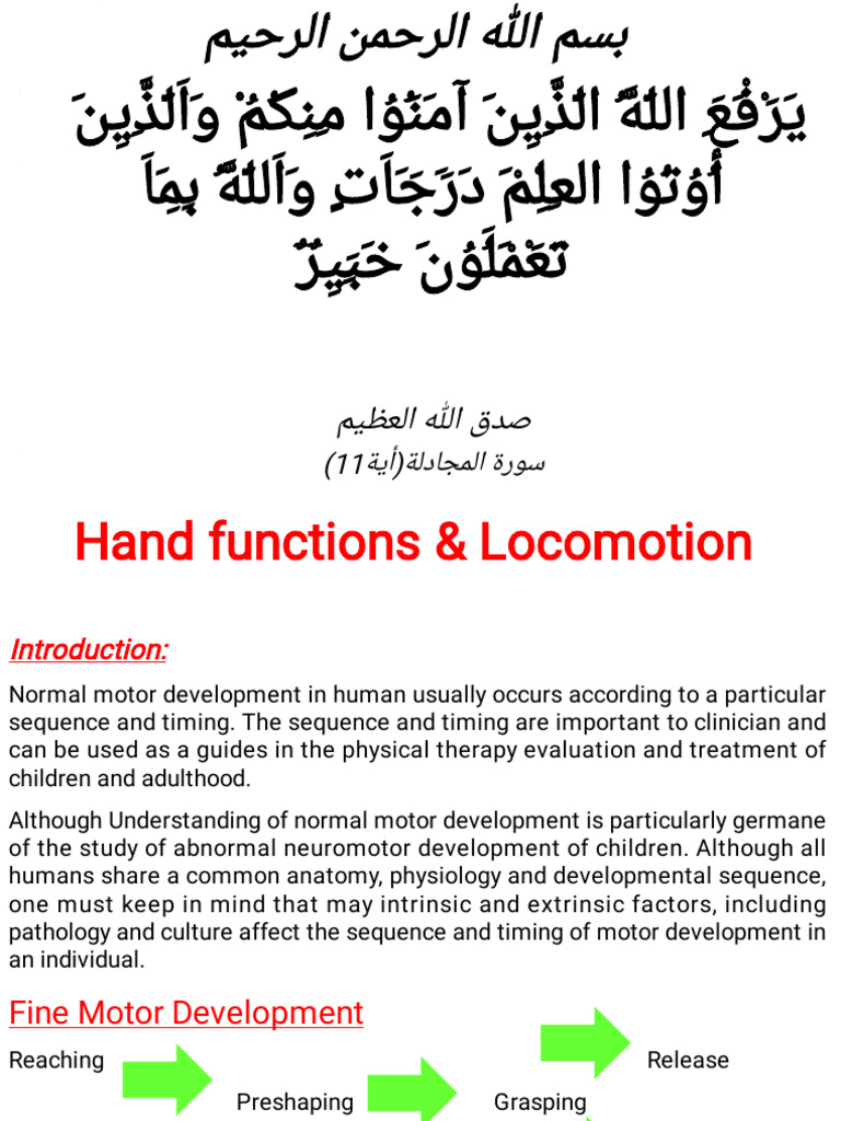 Hand Function Development Overview | PDF | Hand | Finger