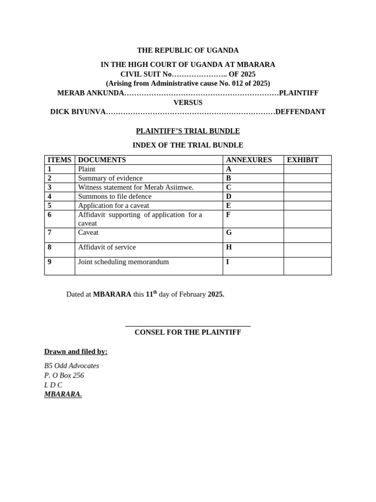 Plaintiff's Trial Bundle Template | PDF