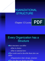 Chapter 12 Lecture 1 Organizational Structure