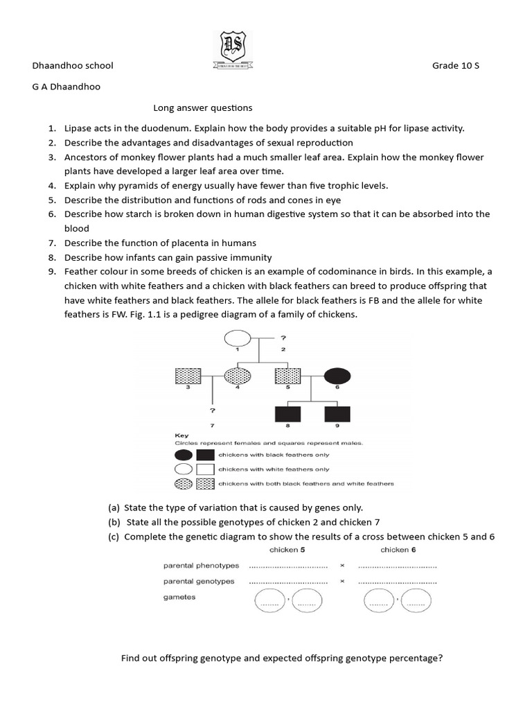 Long Answer Questions Part 1 | PDF