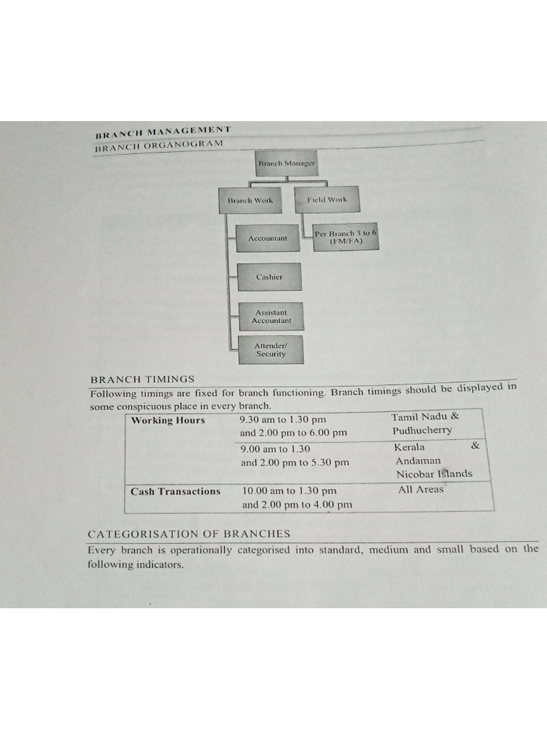 Branch Management | PDF