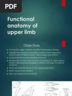 The Muscles of The Hand - Thenar - Hypothenar - TeachMeAnatomy | PDF ...