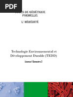 D finition Et Types De L h r dit Humaine PDF