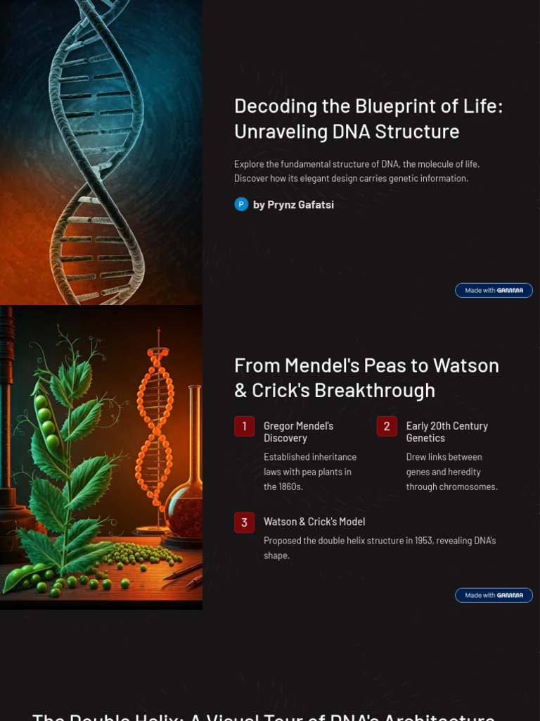 Decoding The Blueprint of Life Unraveling DNA Structure | PDF | Dna ...