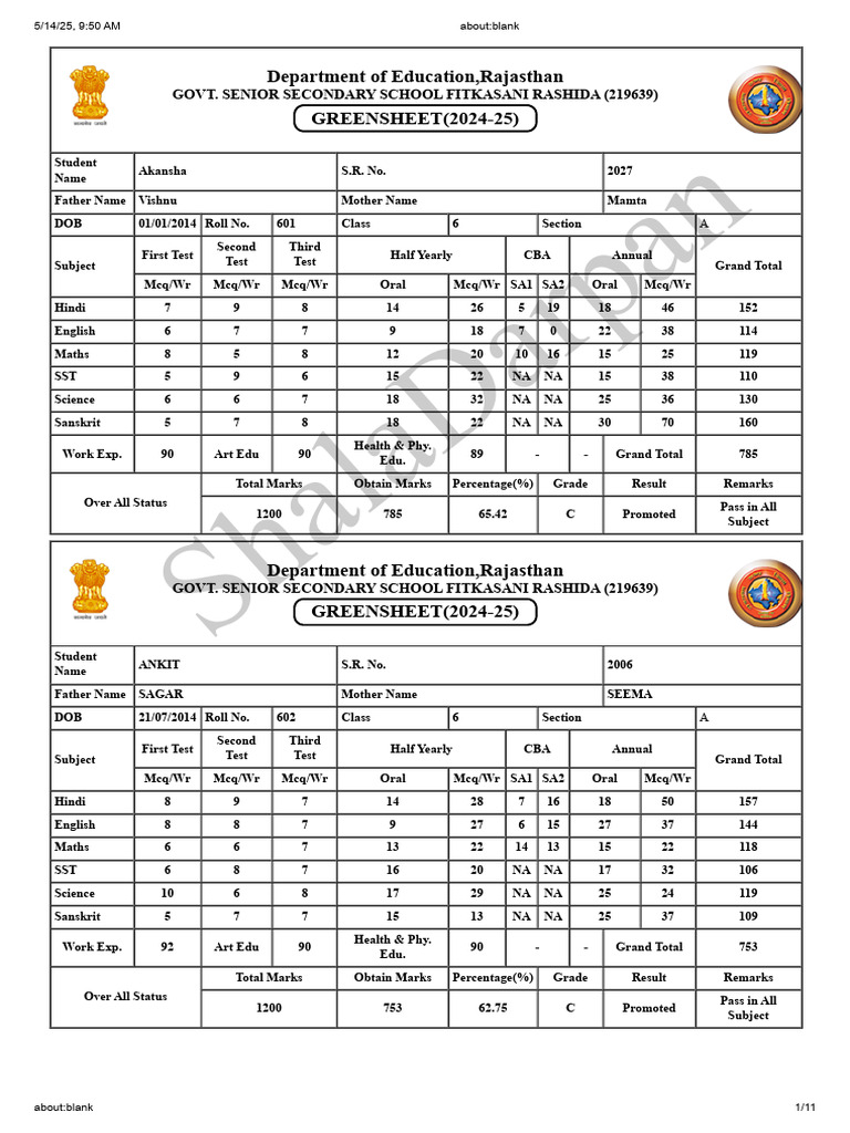 Class 6 Student Performance Report | PDF | Linguistics | Cultural ...