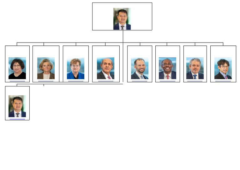 Director General | PDF