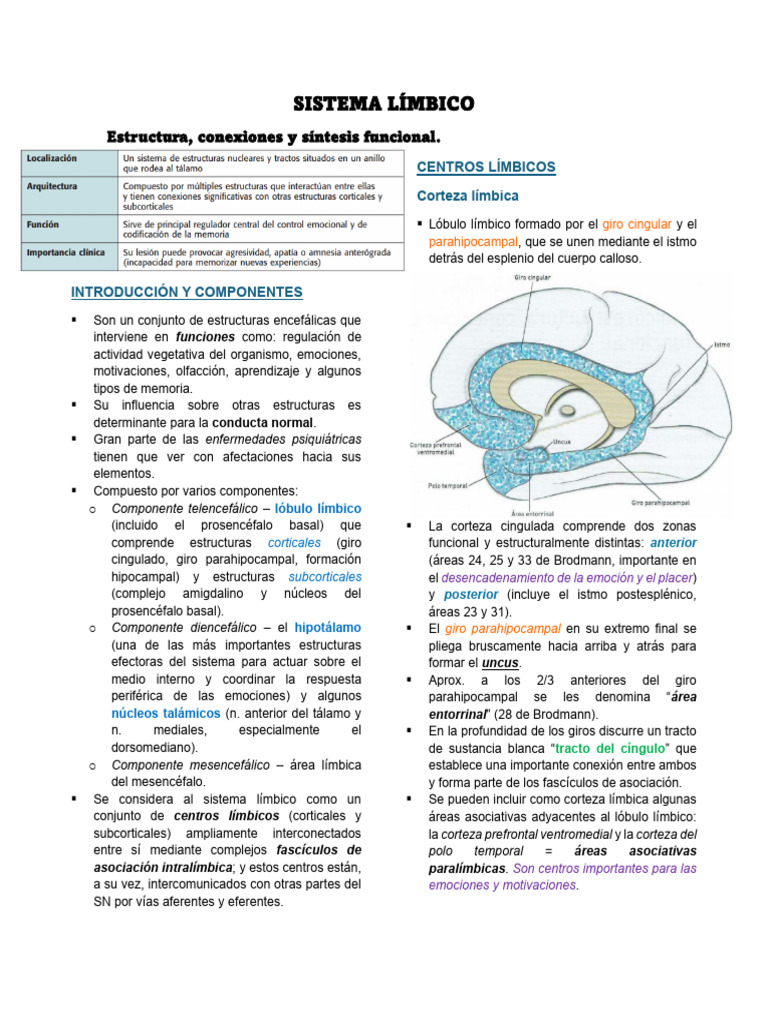 Estructura y Función del Sistema Límbico | PDF | Hipocampo | Las emociones