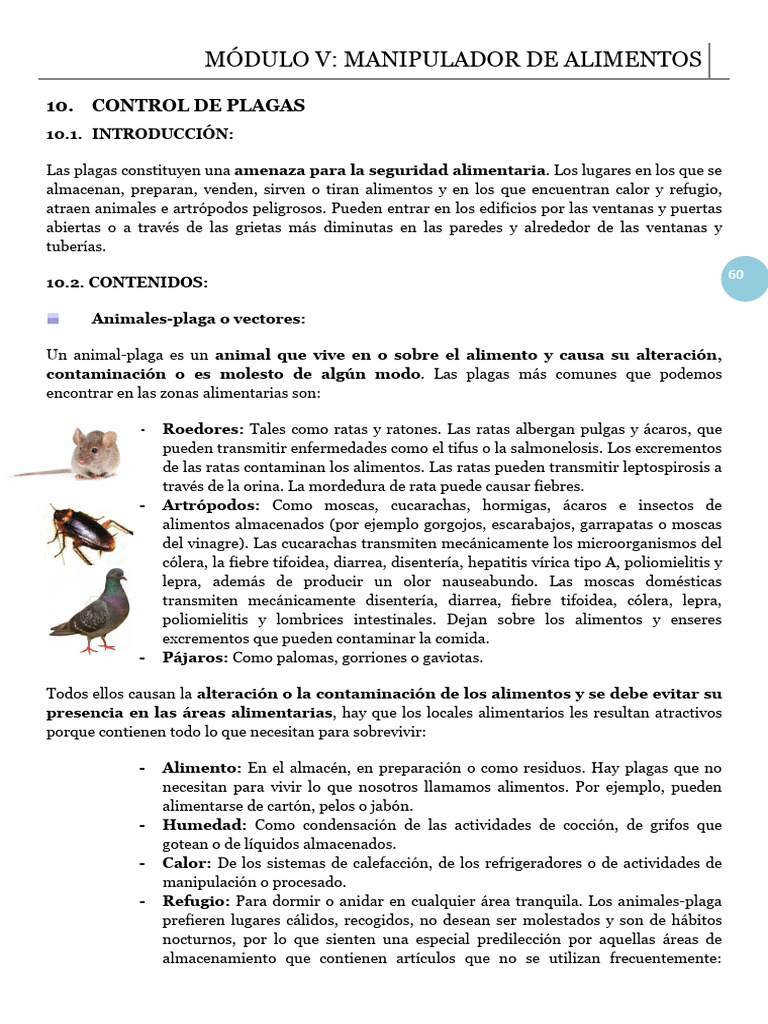 Control de Plagas en Alimentos | PDF | Alimentos | Pesticida