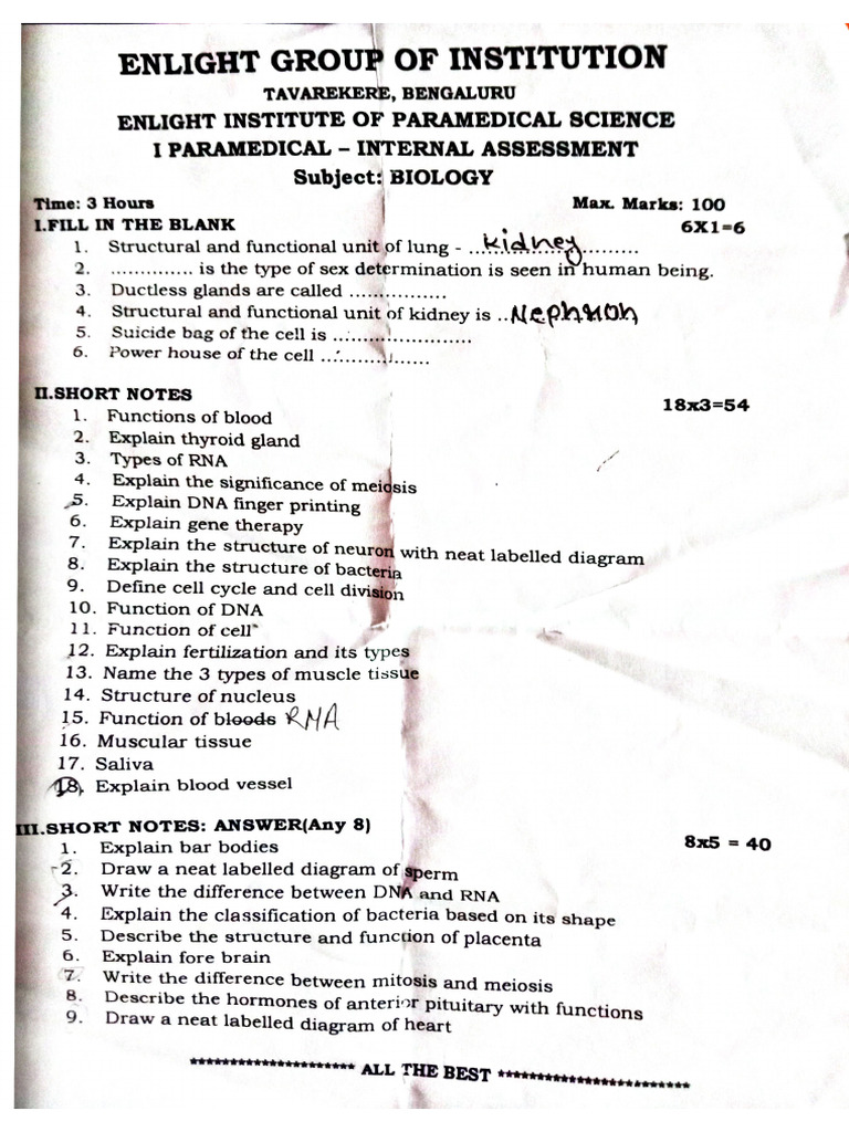 Document 10 | PDF