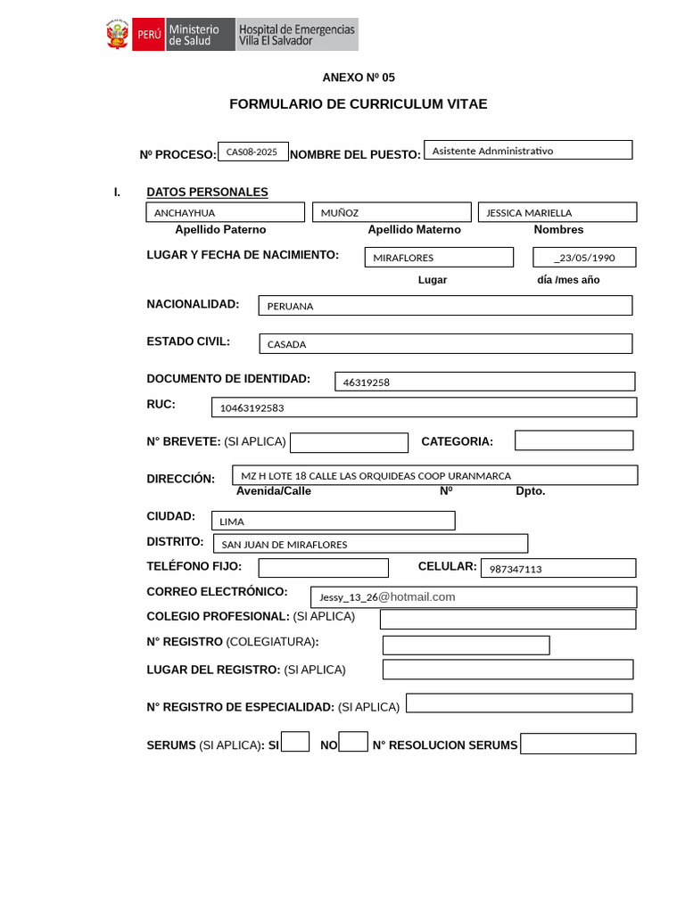 Formulario de Curriculum Vitae Detallado | PDF