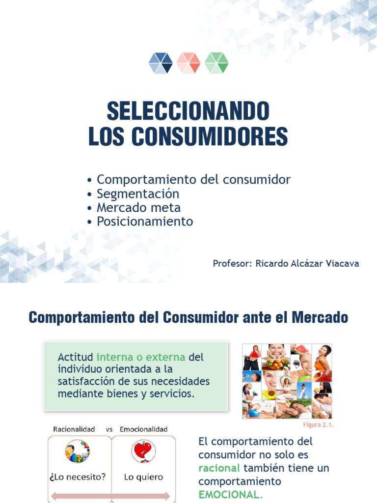Comportamiento y Segmentación del Consumidor | PDF | Segmentación de ...