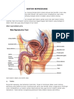 SISTEM REPRODUKSI
