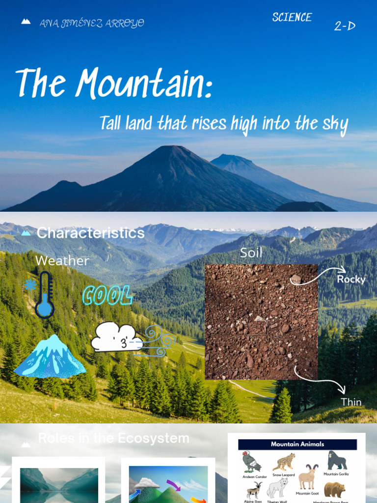 The Mountain | PDF