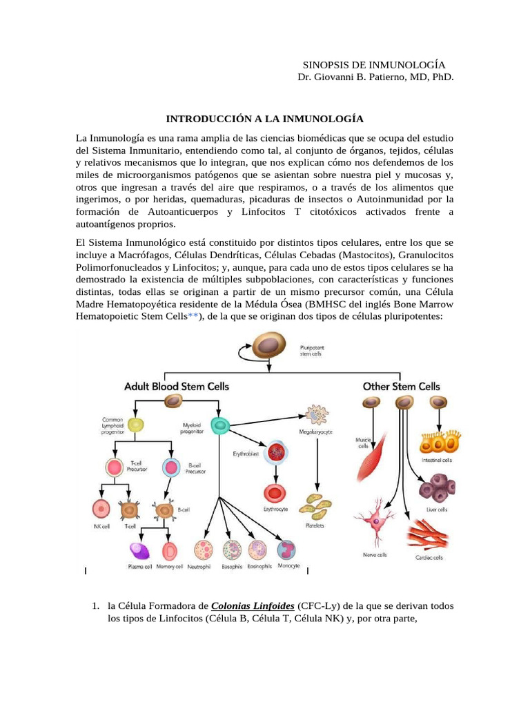 Inmunología 1era Clase | PDF | Sistema linfático | Linfocitos