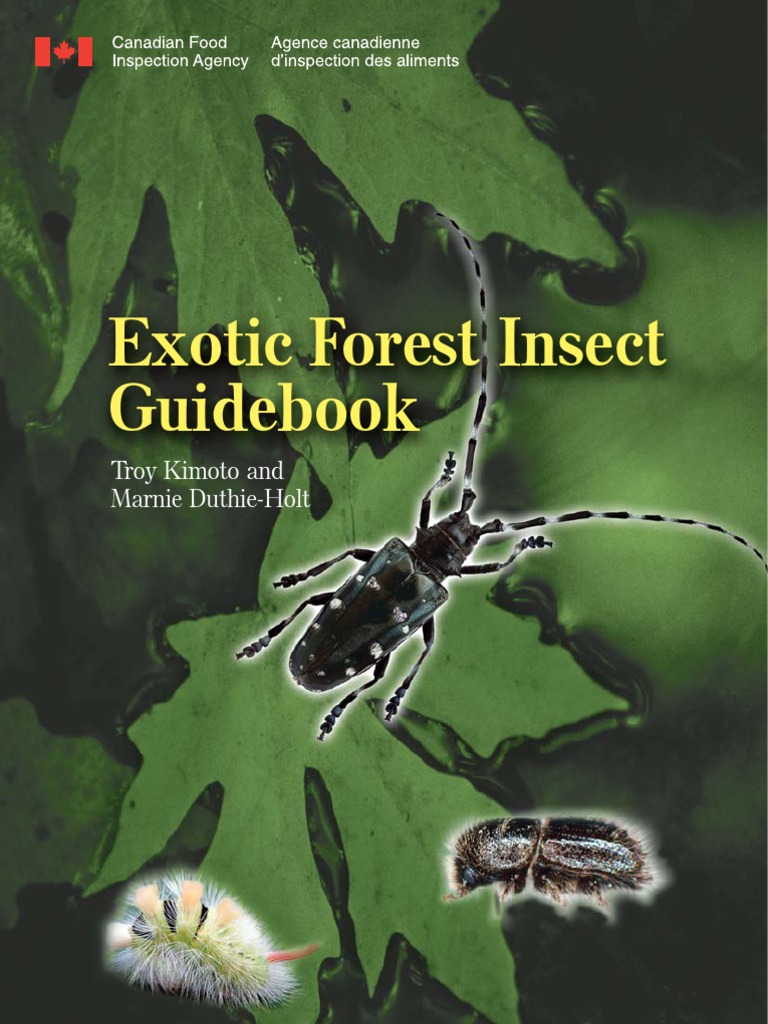 Exotic Forest Insect Guidebook PDF Trees Nature
