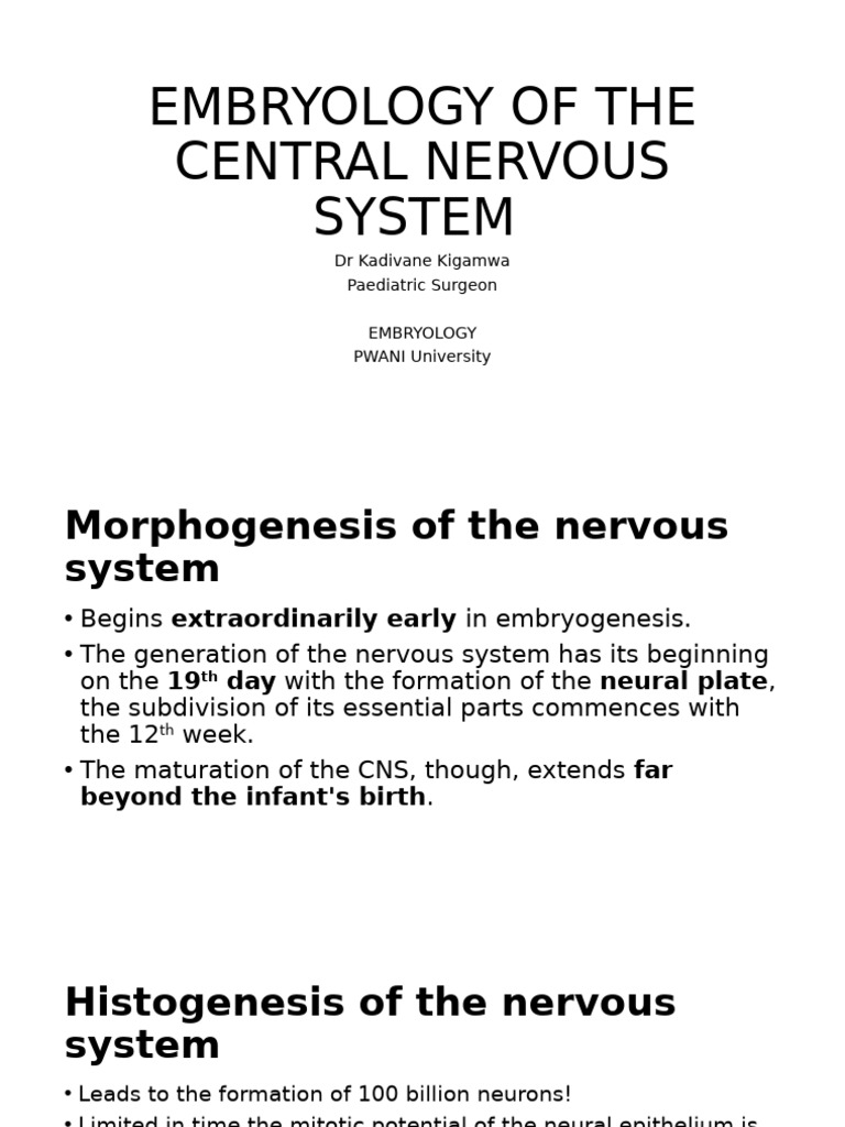 CNS Embryology: Neural Development Insights | PDF | Cerebral Cortex ...
