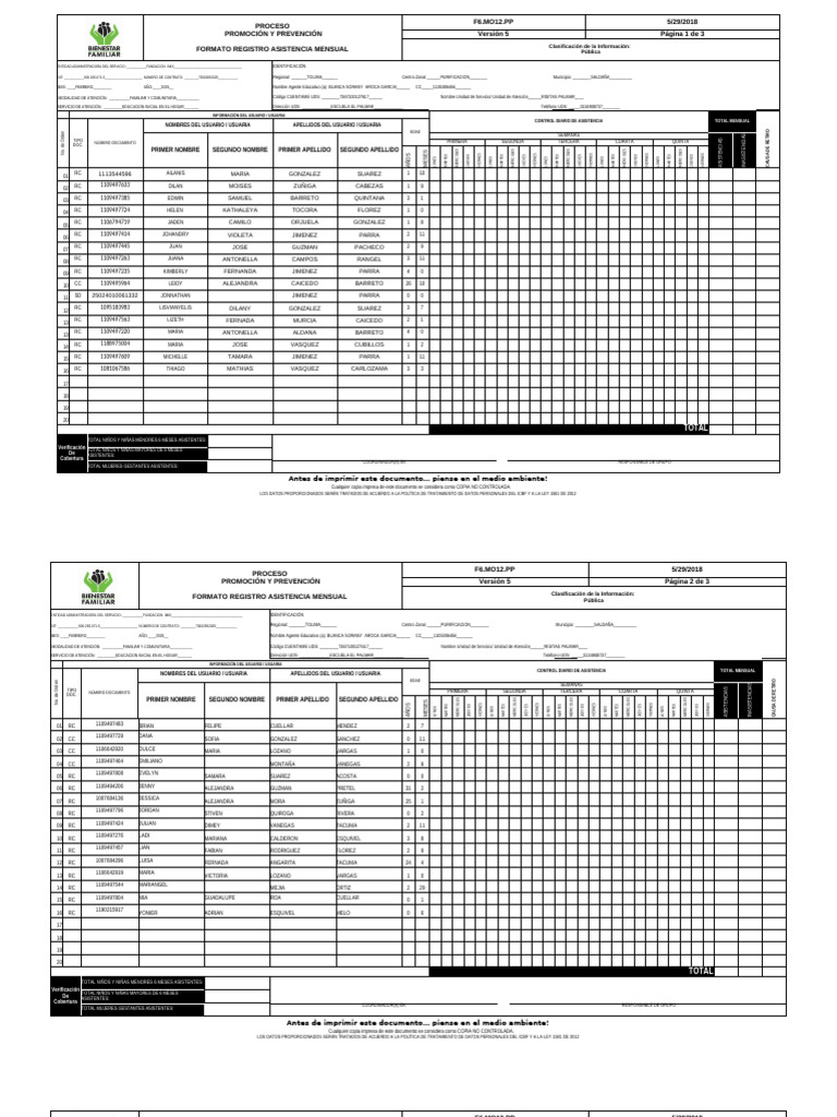 Formato Ram v5 6.06.2018 | PDF