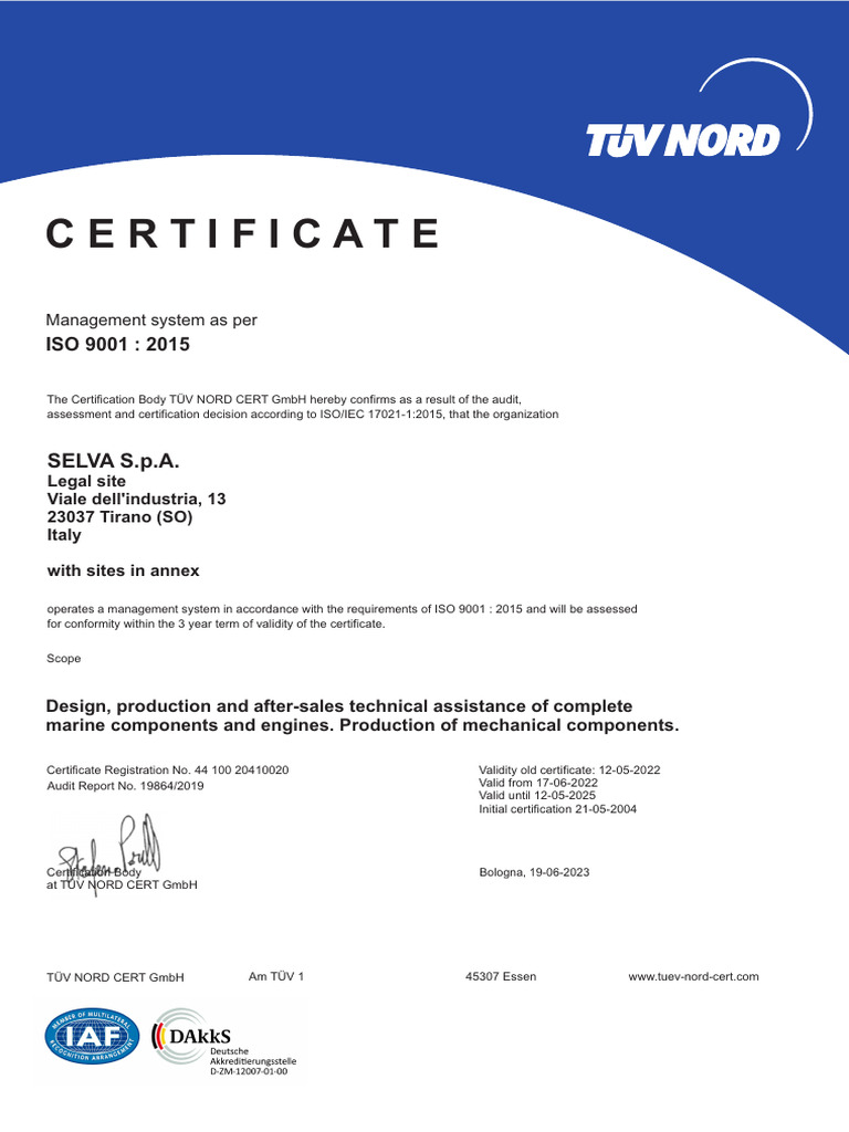 ISO 9001 2015 en | PDF
