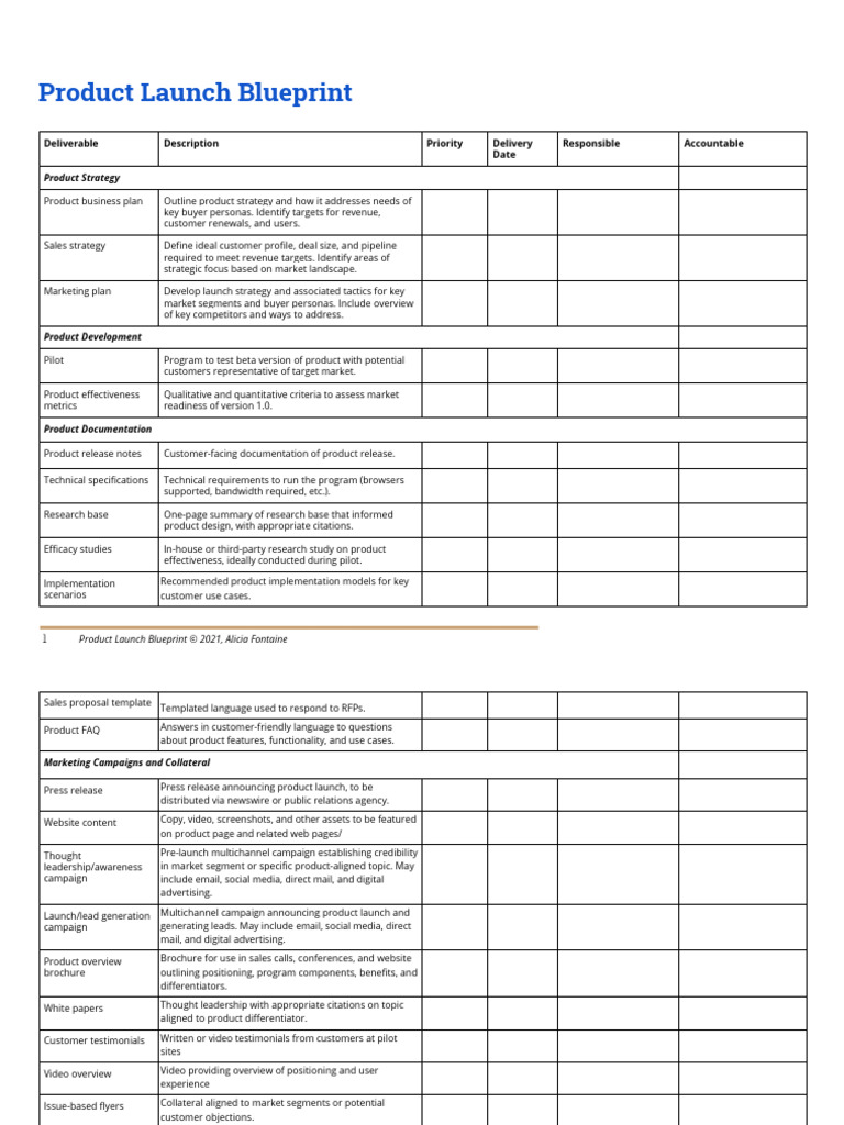 Product Launch Blueprint | PDF | Marketing | New Product Development