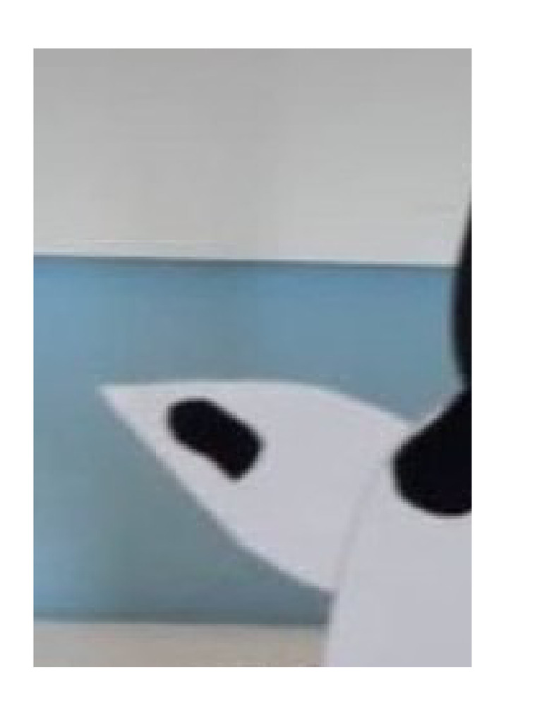 Vaca | PDF