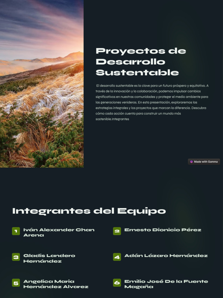 Proyectos de Desarrollo Sustentable | PDF | Sustentabilidad ...