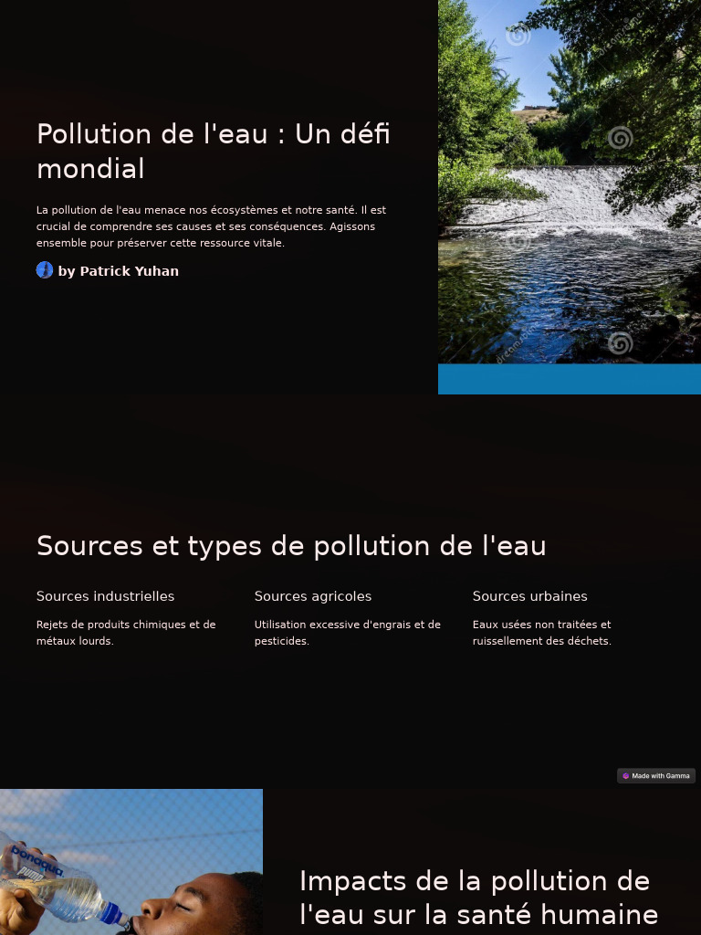 Pollution de l'eau : enjeux et solutions | PDF | la pollution ...