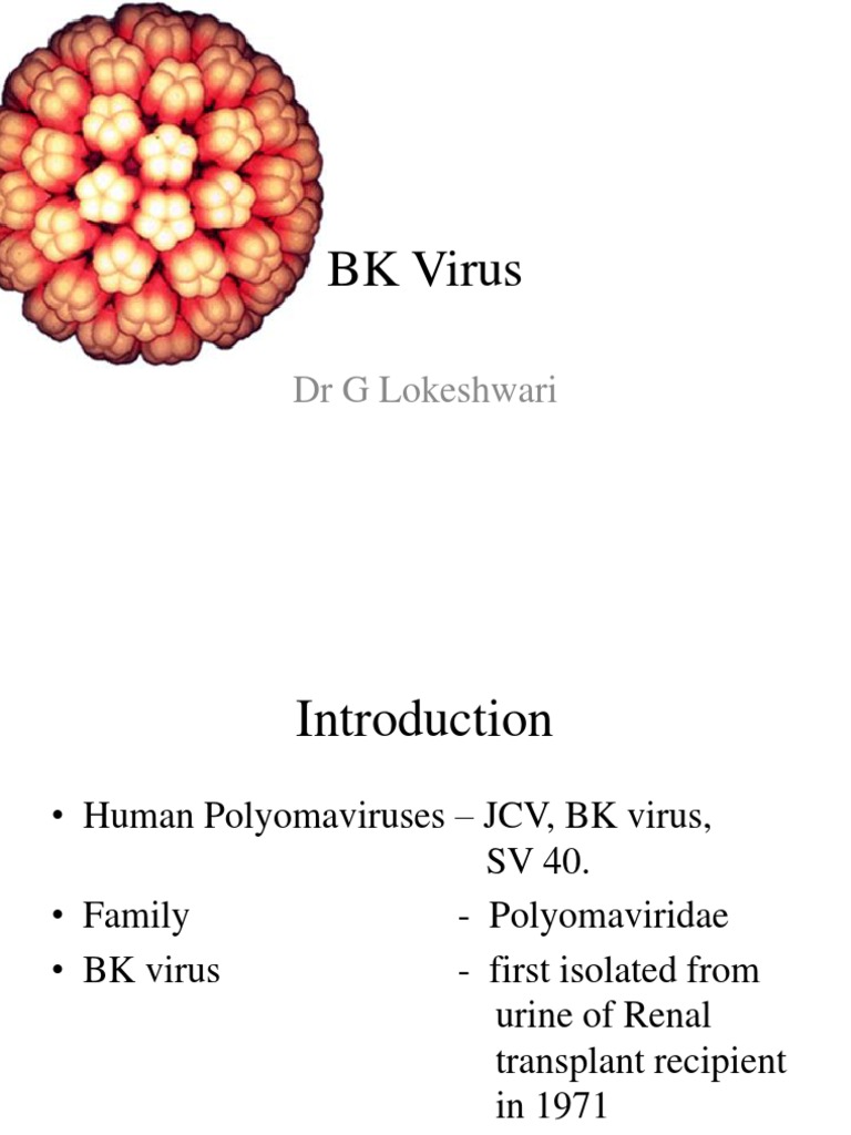 Overview of BK Virus: Diagnosis & Treatment | PDF | Virus | Virology