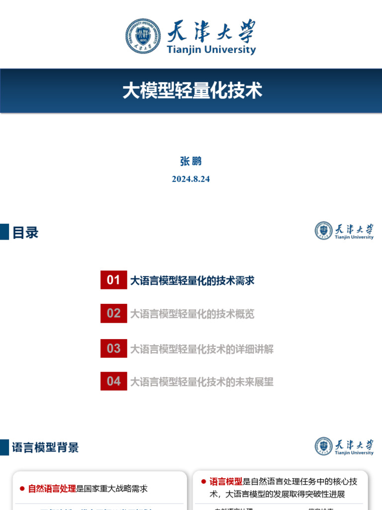 天津大学：大模型轻量化技术| PDF