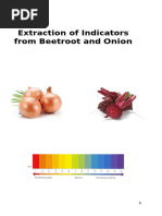 Beetroot pH Indicator Experiment Guide | PDF