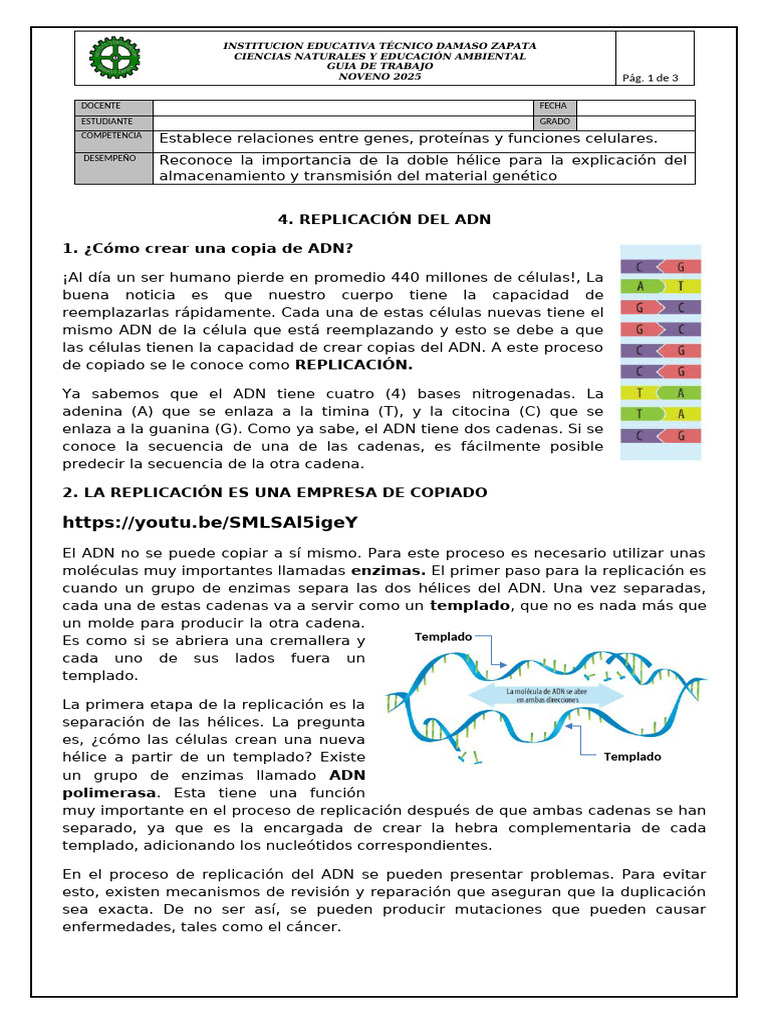 Importancia de la Replicación del ADN | PDF | Adn | Replicación De Adn