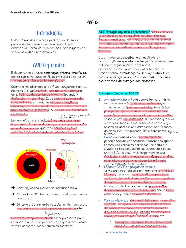 Entendendo o AVC Isquêmico e Tratamento | PDF | AVC | Angiologia