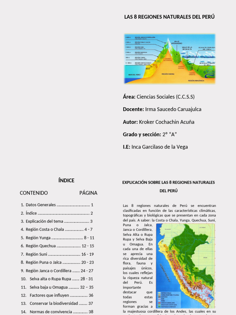 Ocho Regiones Naturales del Perú | PDF | Andes | Selva