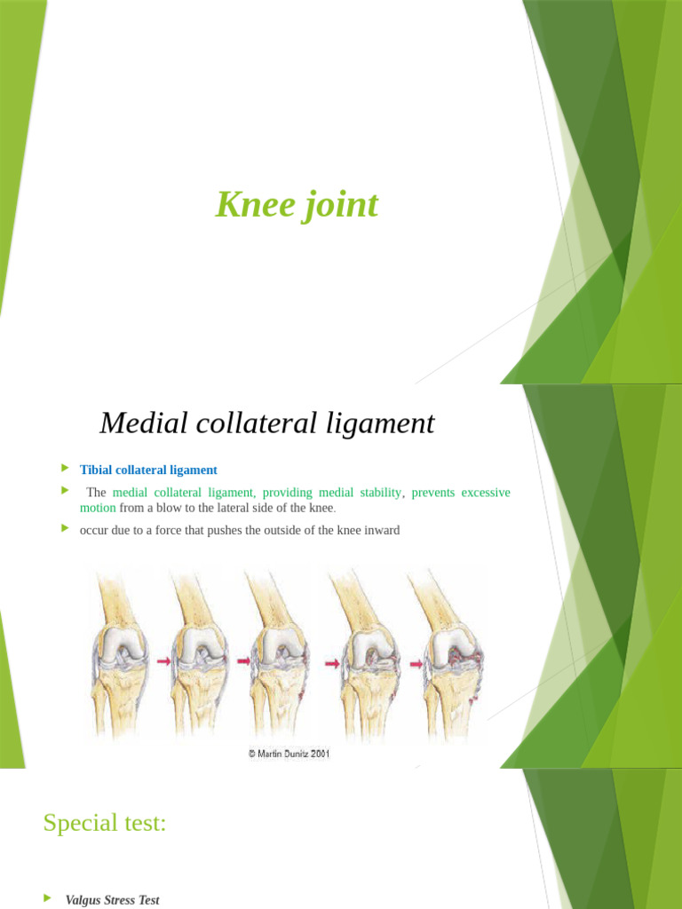 Knee Ligament Stability Tests Explained | PDF