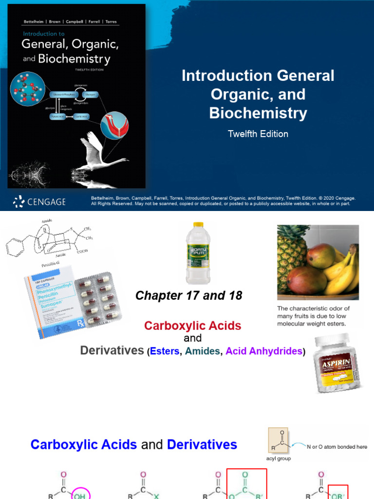 Carboxylic Acids and Derivatives Overview | PDF | Carboxylic Acid ...