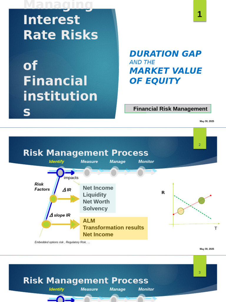Managing Interest Rate Risks in Finance | PDF | Equity (Finance) | Risk