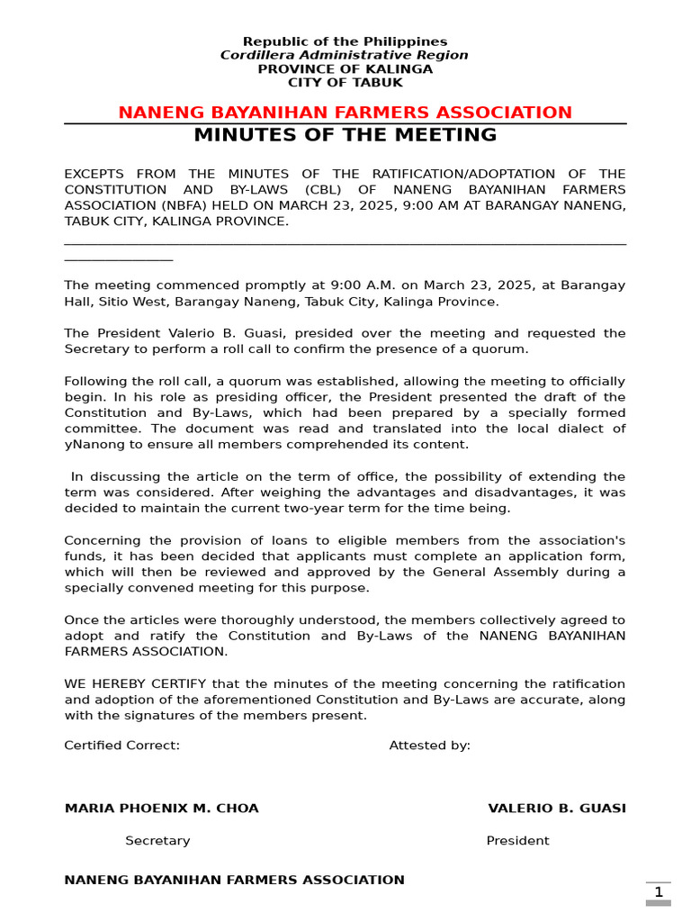 MINUTES OF THE MEETING - Ratification of Constitution and By-Laws | PDF ...