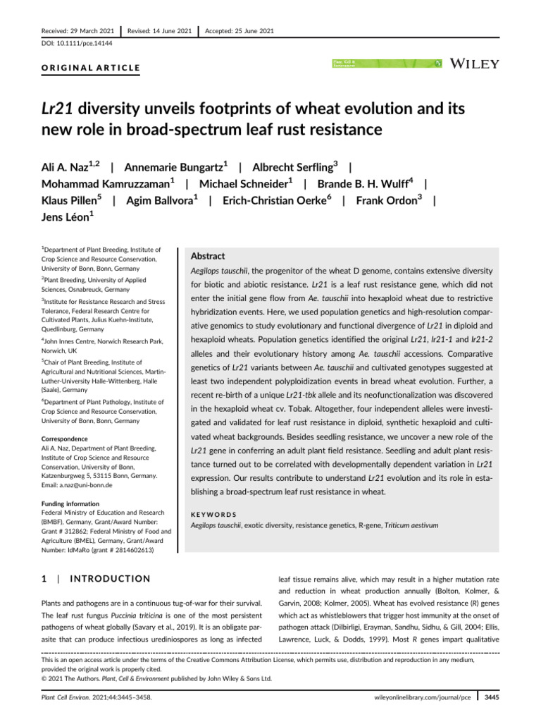 Lr21 Gene's Role in Wheat Rust Resistance | PDF | Single Nucleotide ...