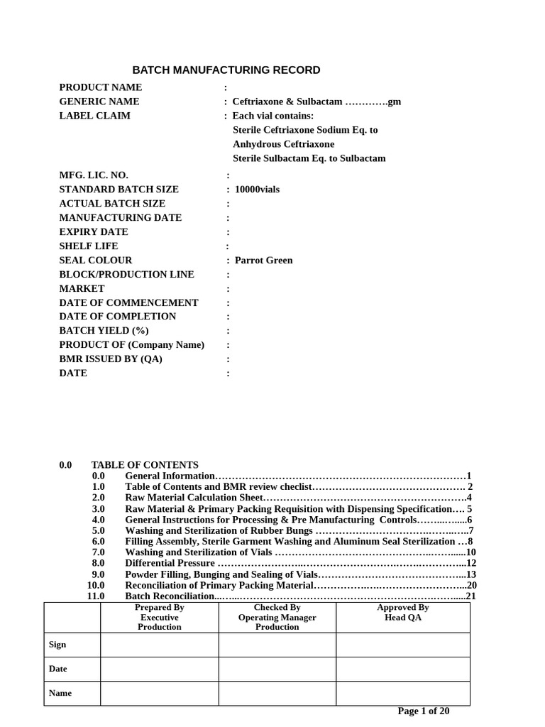 Indosef Injection Batch Manufacturing Record | PDF | Sterilization ...