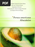 Persea americana.