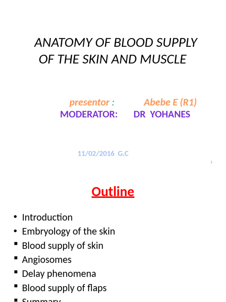 3.anatomy of Blood Supply To The Skin | PDF | Skin | Epidermis